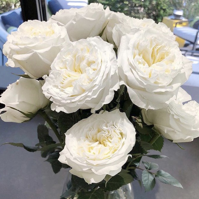 Майра Вайт  (Mayra’s White) в Ставрополе